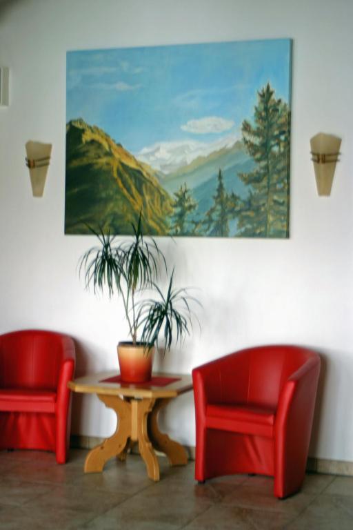 Jugend- Und Familienhotel Venedigerhof Neukirchen am Großvenediger エクステリア 写真